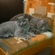 siesta s mamkou (Henrieta s Heidy)
