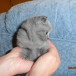 Innes - ��k�me j� Inu�ka