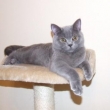 Chip - Juli�nek - �nor 2012