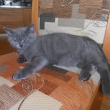 Chip 22.12.2011