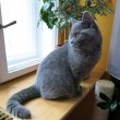 Larry Lenny - 5 m�s�c�