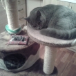 Lexy Loony