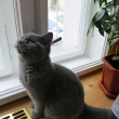 Larry Lenny - 5 m�s�c�